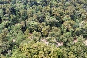 Terreno Agricolo a Brienno