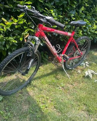 Bici mtb corratec