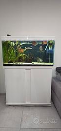 Acquario 250 l.
Di che marca era?