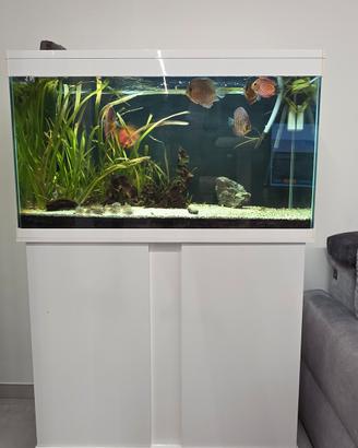 Acquario 250 l.
Di che marca era?