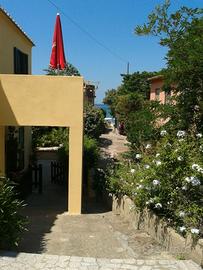 Isola d ELBA a PROCCHIO 50 PASSI DALLA SPIAGGIA LI