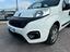 Immagine 7