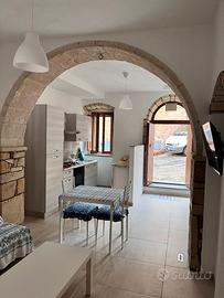 Bilocale ristrutturato