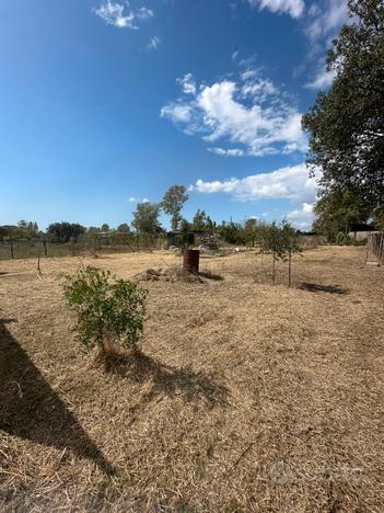 Terreno agricolo