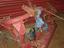 Immagine 12