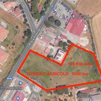 TER. AGRICOLO A ROMA