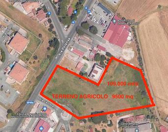 TER. AGRICOLO A ROMA
