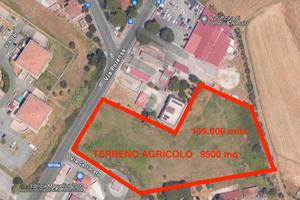 TER. AGRICOLO A ROMA