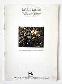 MOLTO RARO MARIO MELIS Catalogo mostra AAM 1987
