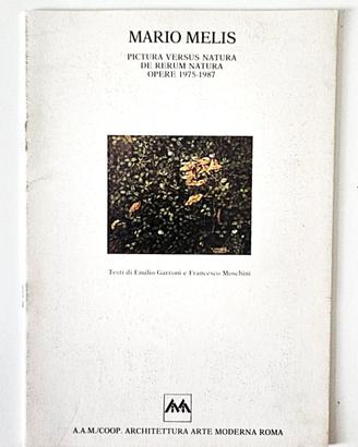 MOLTO RARO MARIO MELIS Catalogo mostra AAM 1987