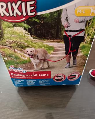 cintura con guinzaglio