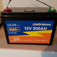 batteria Lifepo4 300ah con BMS