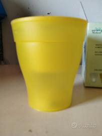 Vasi colorati luminosi