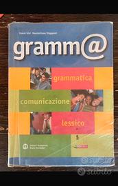 Libro grammatica, comunicazione e lessico