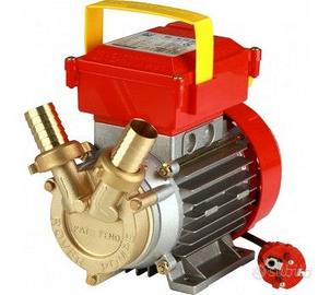 Elettropompa travaso liquidi Rover 25 CE