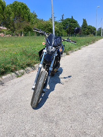 Derbi senda 50