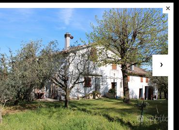 Casa indipendente Castel San Pietro
