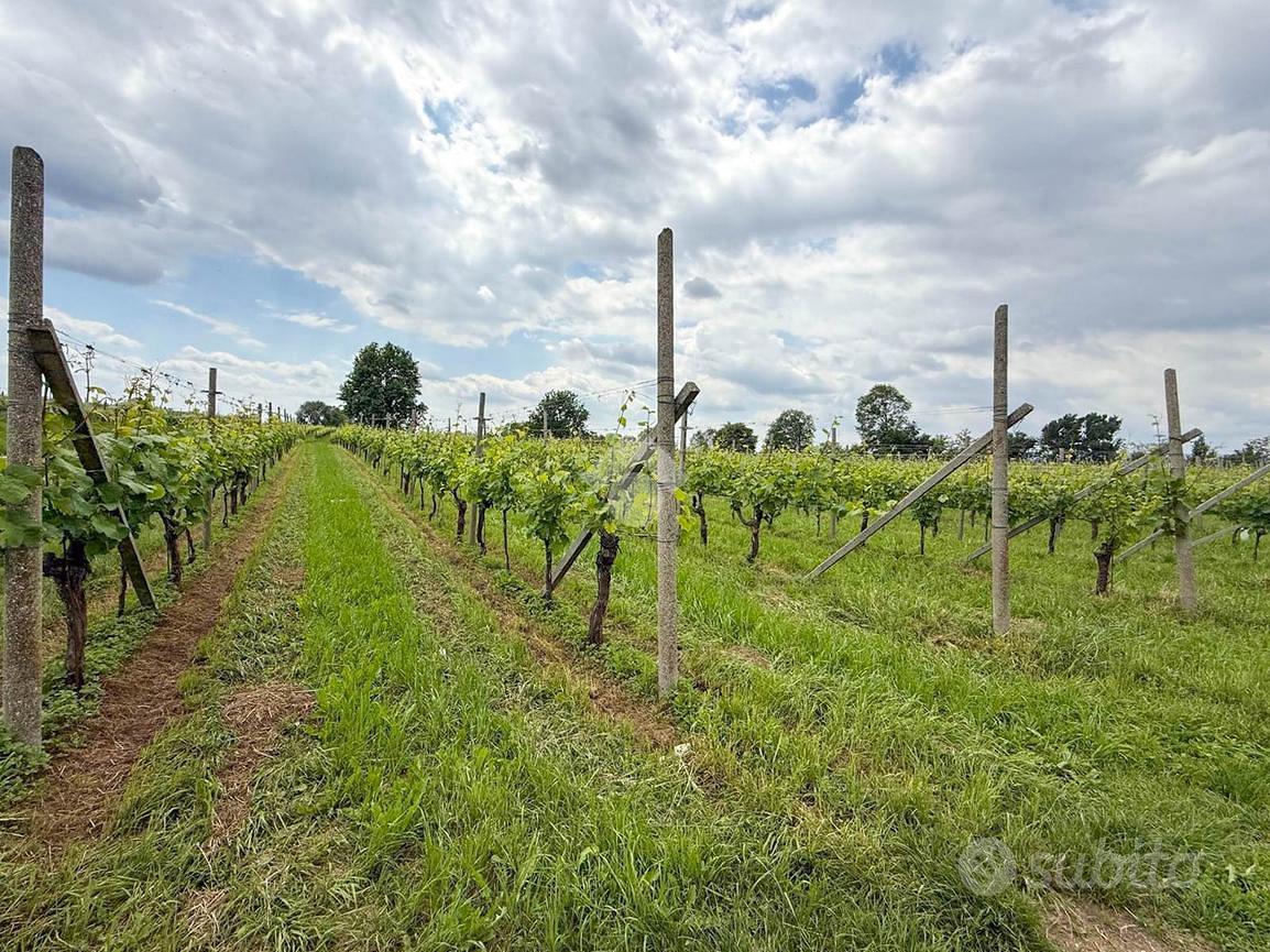 TER. AGRICOLO A CALVAGESE DELLA RIVIERA - Vista 3