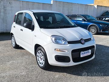 Fiat Panda 1.2 Easy 69 CV 2019
