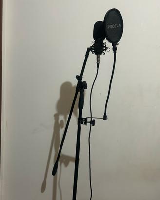 Microfono neewer 800 completo di asta