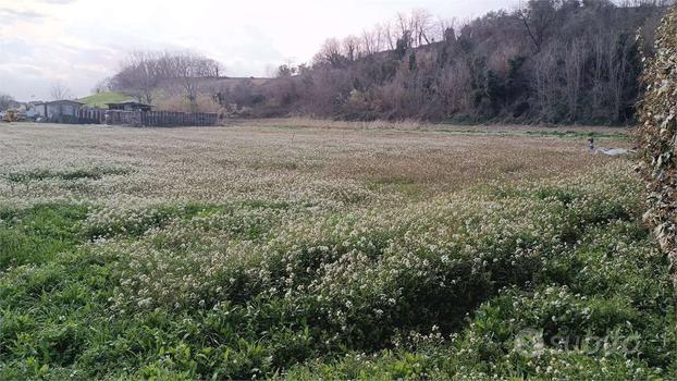 Terreno Edificabile a Collecorvino