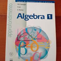 Approfondimenti di Algebra 1 - Liceo scientifico