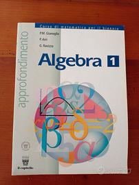 Approfondimenti di Algebra 1 - Liceo scientifico