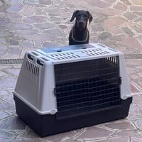 Trasportino FERPLAST x cani taglia medio-grande