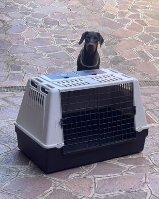 Trasportino FERPLAST x cani taglia medio-grande