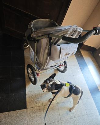 passeggino per cane 