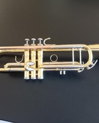 Tromba Thomann in sib