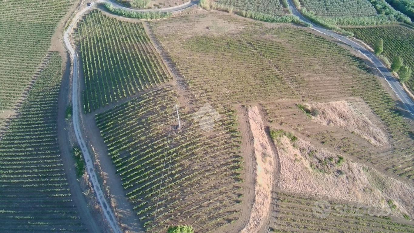 TERRENO A ALCAMO - Vista 4