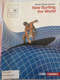 New surfing the world, M. G. Dandini