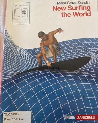 New surfing the world, M. G. Dandini