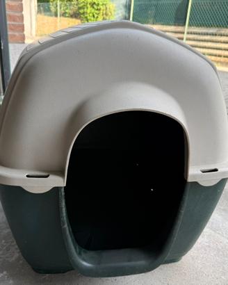 Cuccia cane