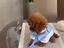 Immagine 4