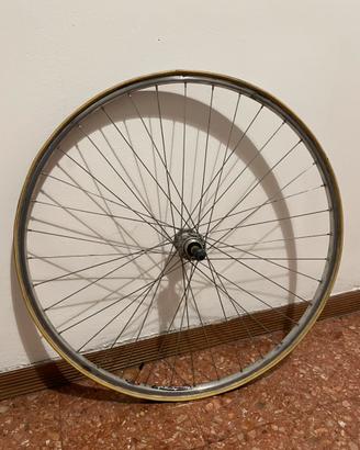 Cerchio posteriore da corsa tubolare