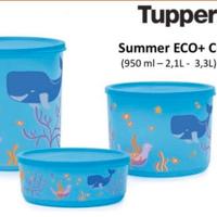 Set 3 contenitori Tupperware