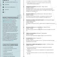 Montatore serramentista