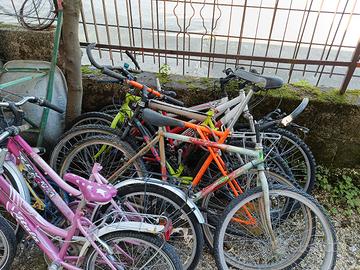 Lotto di 8 biciclette 