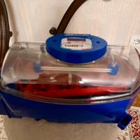 Borotto lumia 8 incubatrice