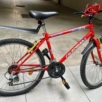 Bicicletta MTB 24 pollici