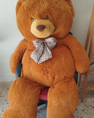 orsacchiotto gigante 