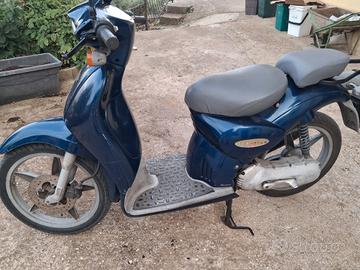 scarabeo