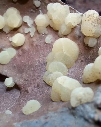 Calcite botroidale Sardegna 