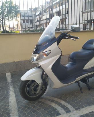 Burgman 250  Iscritto ASI