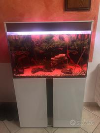 ACQUARIO CIANO + MOBILETTO