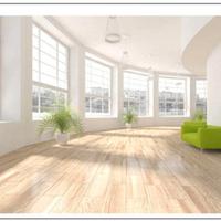 wallpaper 3D 355 cm.x 256 cm.