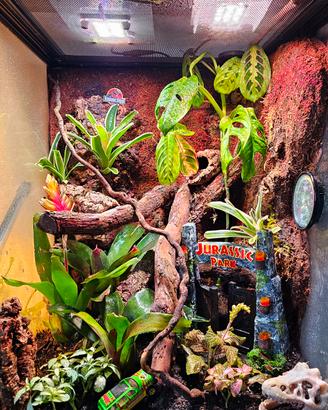 Terrario bioattivo completo