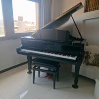 Pianoforte a coda